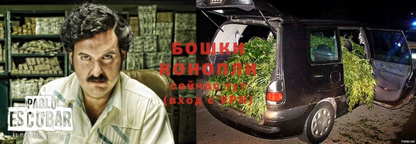мет Касимов