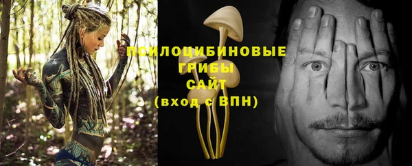 МДМА Карпинск