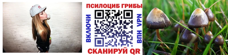Купить  Губаха  Галлюциногенные грибы мицелий 