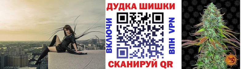 Бошки Шишки конопля  Купить закладки  Губаха 